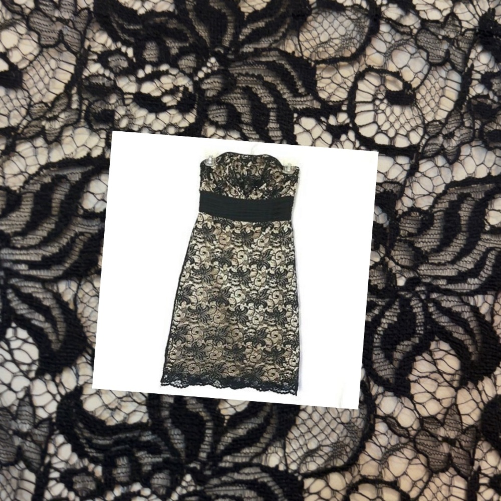 White House Black Market Floral lace Black & Tan Strapless Dress Size 10